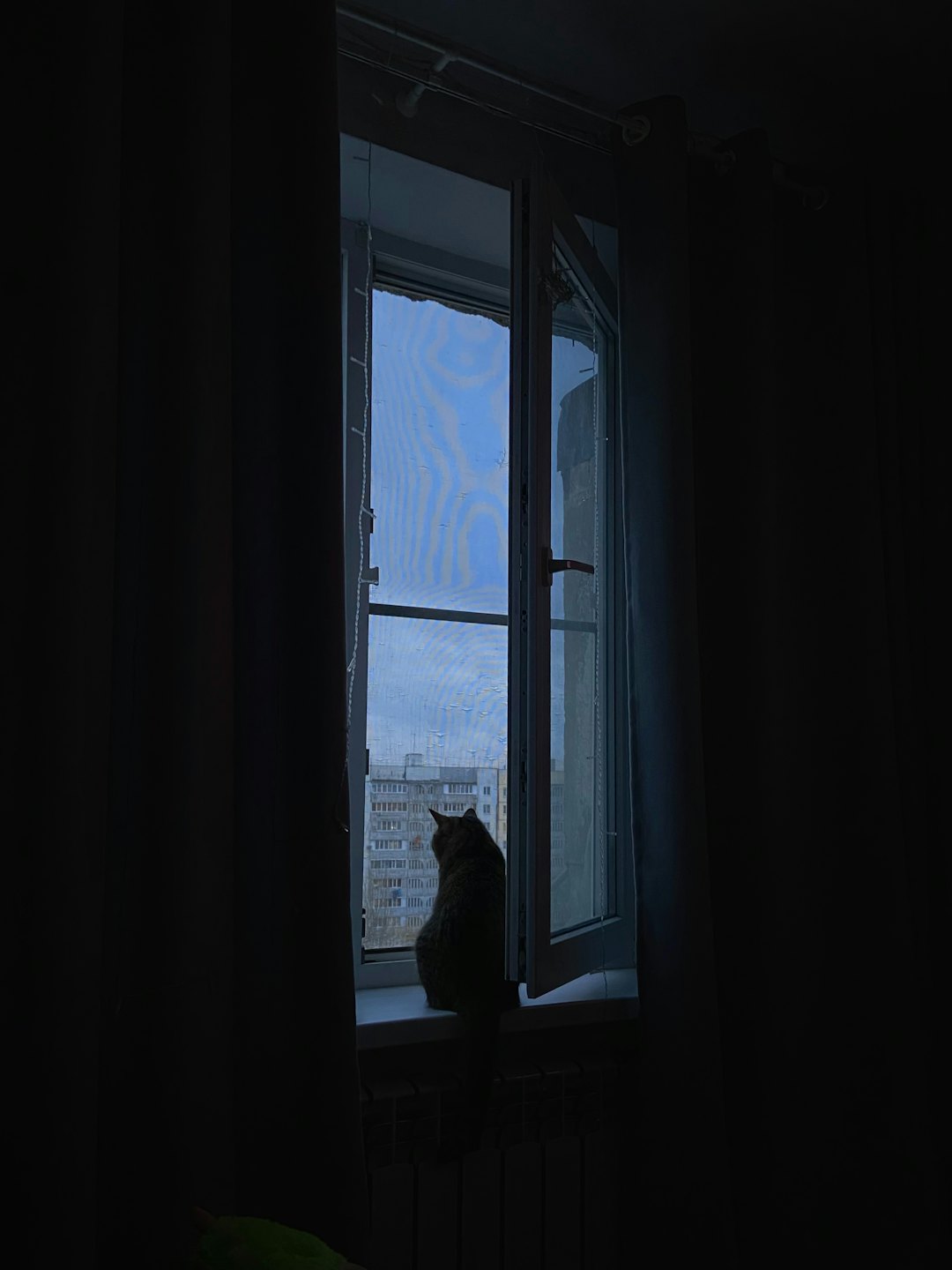 Cat sits on a windowsill looking at an apartment building.