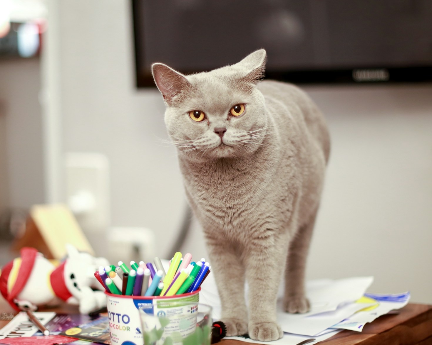 Treats, Tricks, and Complete Toleration: My Daily Struggle